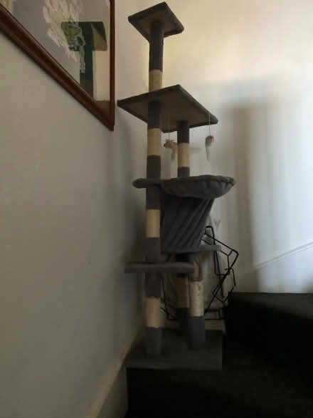 Photo of free Cat tower 4 ft ish or 5 (Newport Pagnell MK16) #1
