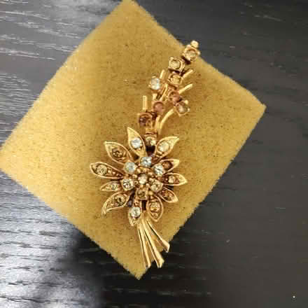 Photo of free Brooch (Braddell mrt stn) #1