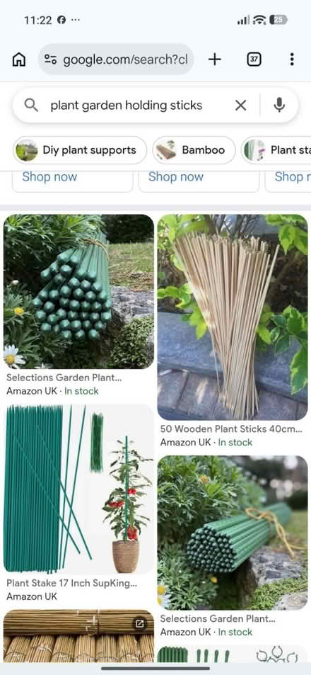 Photo of Garden plant holding sticks (Watford) #1