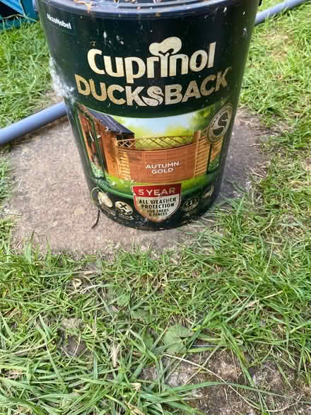 Photo of free Cuprinol Autumn Gold 5ltr (Central Milton Keynes MK9) #1