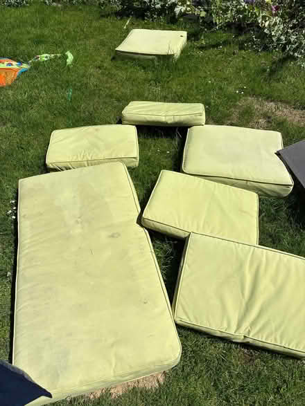 Photo of free Chair cushions (Polegate) #2