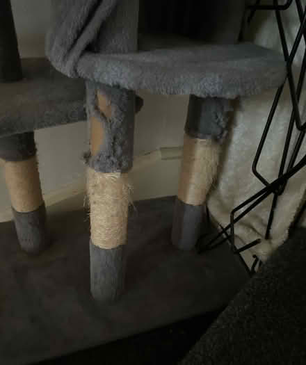 Photo of free Cat tower 4 ft ish or 5 (Newport Pagnell MK16) #2