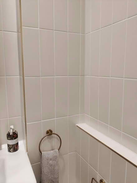 Photo of free Small rectangular tiles (Marchmont EH9) #2