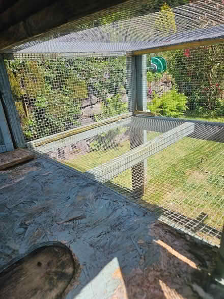 Photo of free Rabbit Hutch - Free to take (Ballingeary) #4