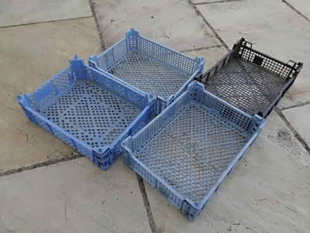 Photo of free Plastic Stacking Trays (Welwyn AL6) #2