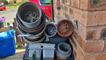 Photo of free Plant pots (Telford) #4