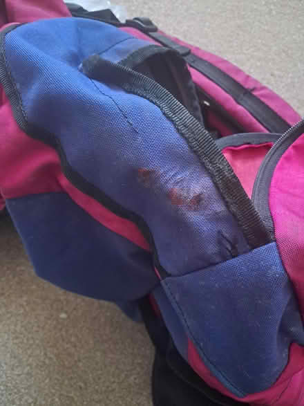 Photo of free Karrimor 75l backpack (BN21 1SN) #4