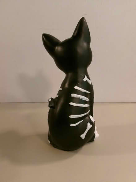 Photo of free Mardi Gras Cat (Northwest Frederick) #3