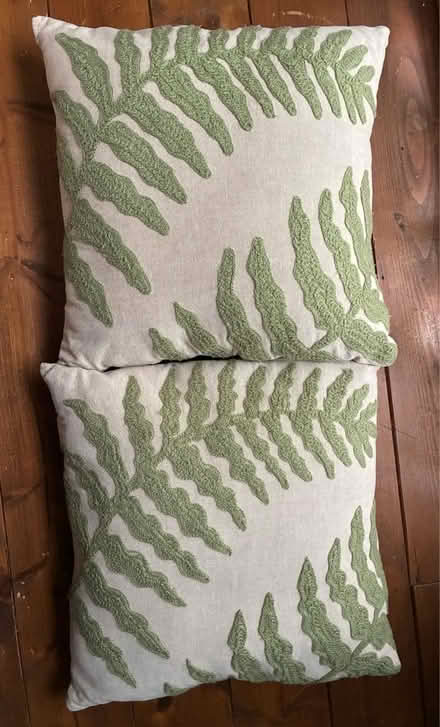 Photo of free 2 nice leafy cushions (Barnard's Green WR14) #1