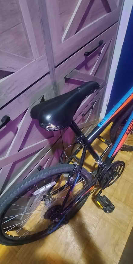 Photo of free Bike (Etobicoke/Mississauga border) #2