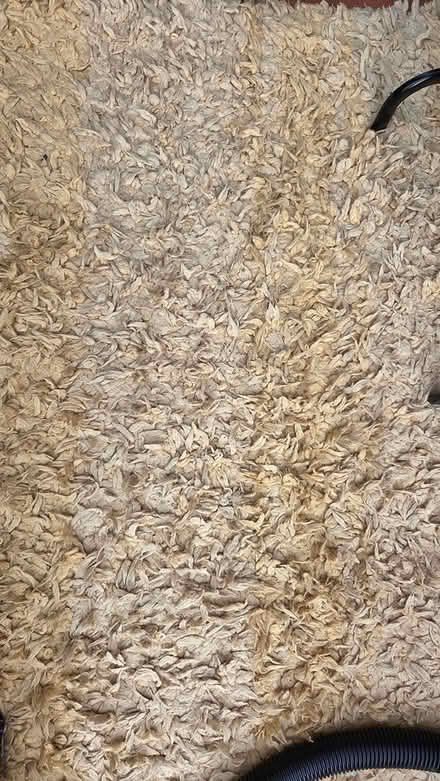 Photo of free Round storage table, rug (Reading RG30) #3