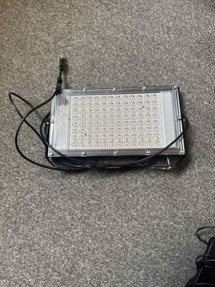 Photo of free Full spectrum light (Blackheath) #1