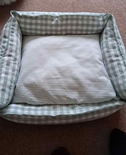 Photo of free 2 new cat or small dog beds (NN15) #2