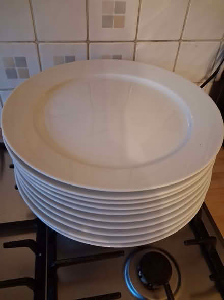 Photo of free Extra large plates and bowls (Ponders End EN3) #1