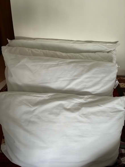 Photo of free Clean pillows (Barnard's Green WR14) #1