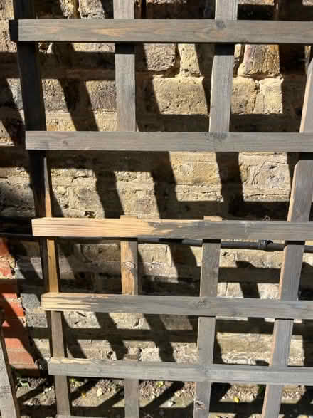 Photo of free 2 trellis (Muswell Hill, N10) #2