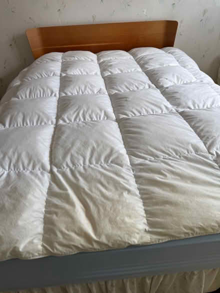 Photo of free Double duvet feather (Norton Lees S8) #1