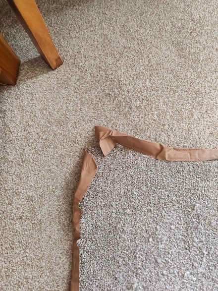 Photo of free Carpet Mats (Abbey Lane Area LE4) #3