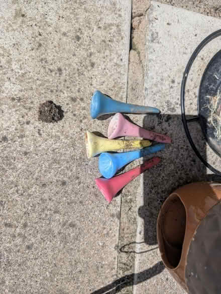 Photo of free Assorted garden things (Abingdon, OX14 3TD) #3