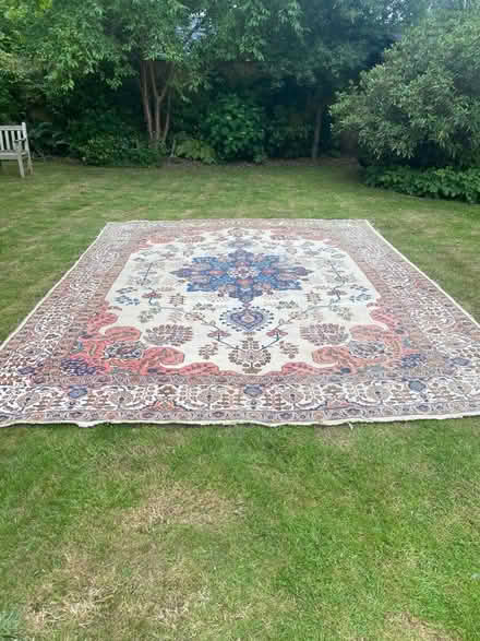 Photo of free large rug (TN13 Sevenoaks) #1