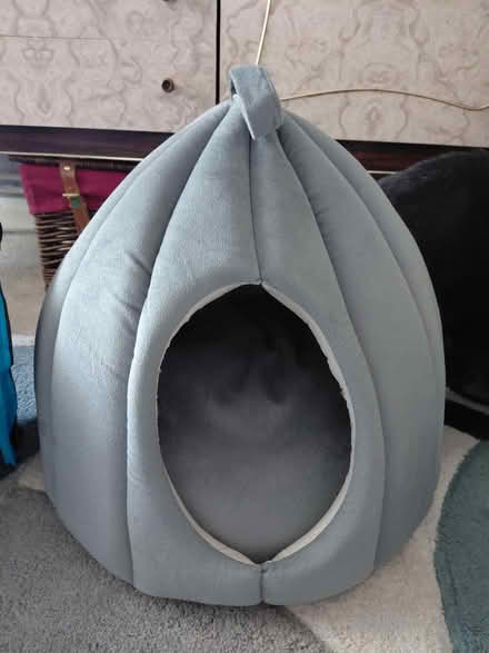 Photo of free Cat house/bed, tunnel and scratcher (RG213AD) #1