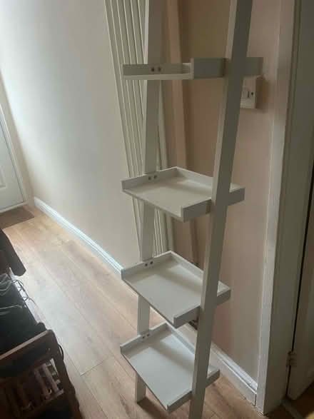 Photo of free Ladder shelves (Levenshulme M19) #1