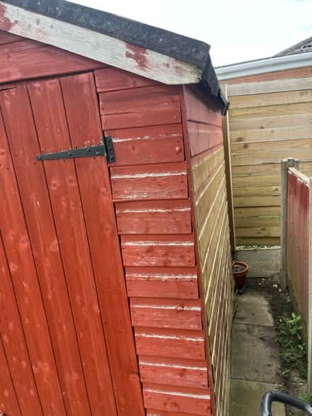 Photo of free 6’ x4’ Garden Shed (Wistaston CW2) #4