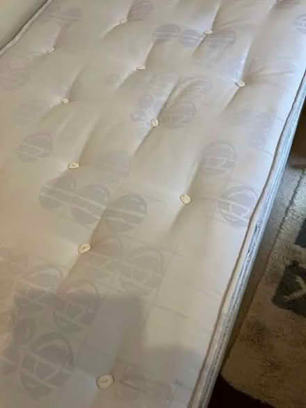 Photo of free Single bed (West End DD1) #2