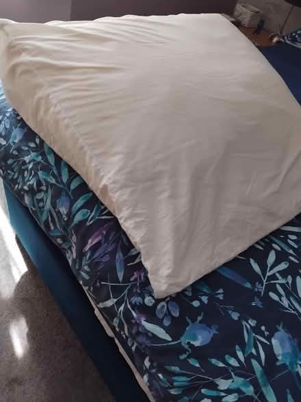 Photo of free Wedge shaped pillow (Lancing BN15) #1