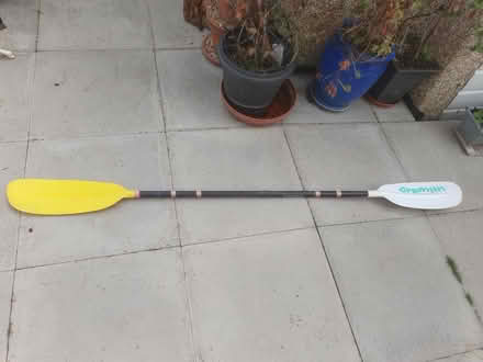 Photo of free Paddles (Great Baddow CM2) #3