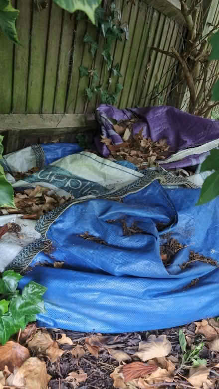 Photo of free Old paddling pools and tarpaulins (GL1) #2