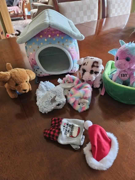 Photo of free Puppy and friends, home and outfits (E. Wilmette) #1