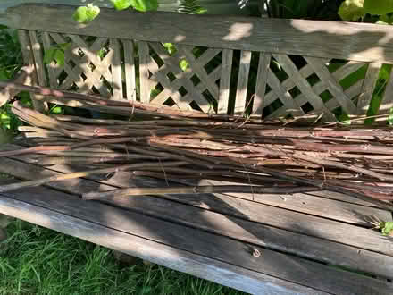 Photo of free Bean/pea sticks (Purbrook PO7) #1