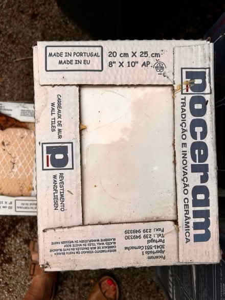 Photo of free Wall Tiles (WR89 Wadborough) #1