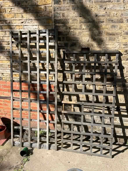 Photo of free 2 trellis (Muswell Hill, N10) #1