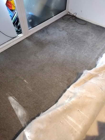 Photo of free Grey carpet (Lime House E14) #2