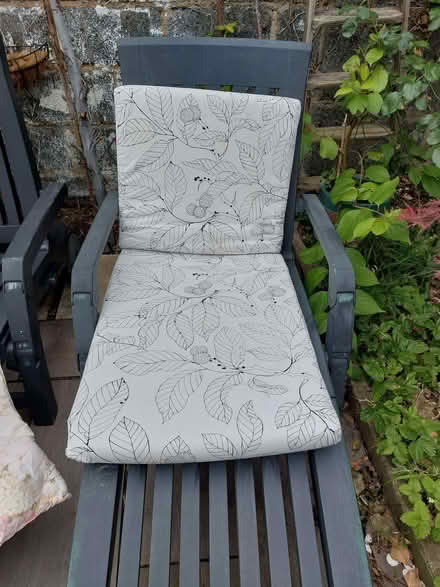 Photo of free Poang seat cushion (New Malden KT3) #1
