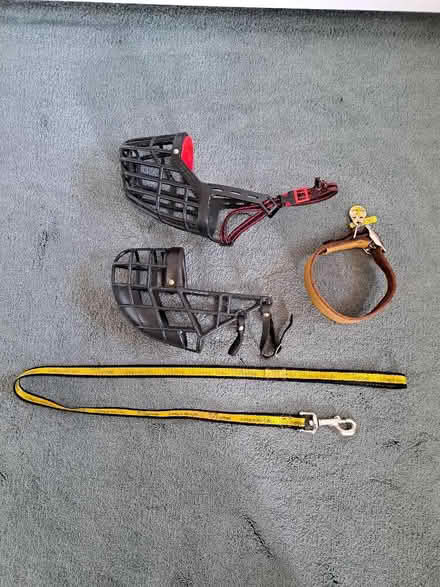 Photo of free Greyhound Items (Vange SS16) #1