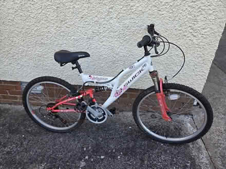 Photo of free Bicycle (Carryduff BT27) #1