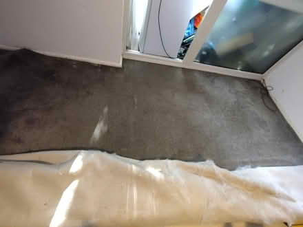 Photo of free Grey carpet (Lime House E14) #3