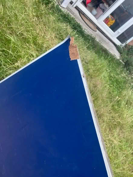 Photo of free table tennis table (broadwater worthing) #2