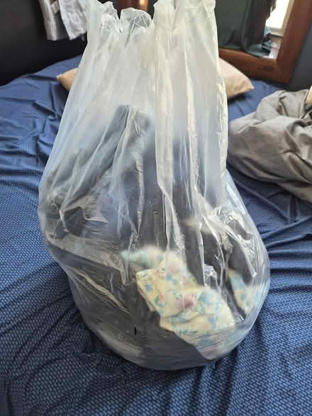 Photo of free bag of clothes (woodhaven) #1