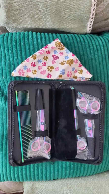 Photo of free portable dog grooming set (dorset BH12) #2