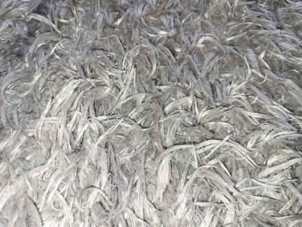 Photo of free Silver rug (Matlock DE4) #3