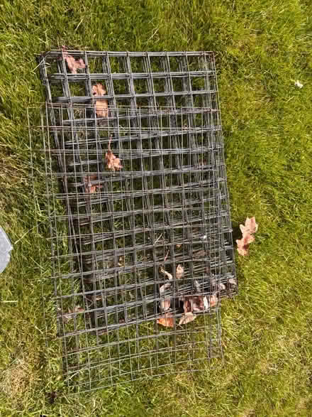 Photo of free Metal shelves for greenhouse (UpperHale GU9) #1