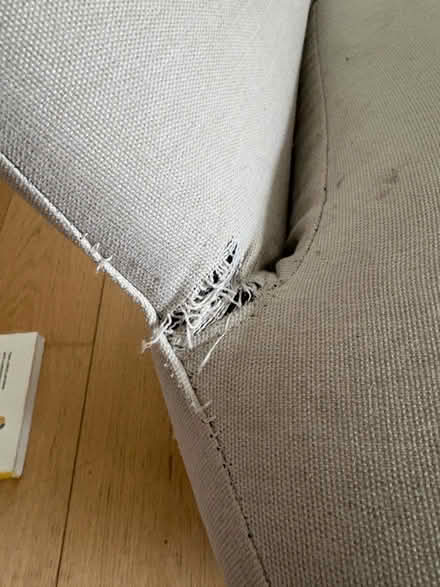 Photo of free sofa cover (Kew bridge) #2