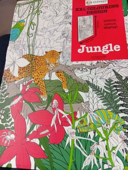 Photo of free Jungle colouring poster (Welling DA7) #1