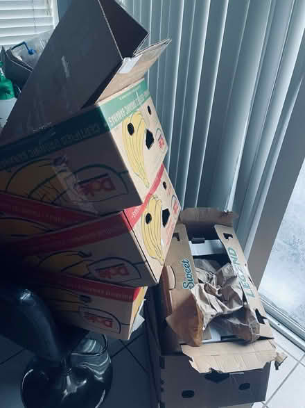 Photo of free boxes & brown packing paper (Alameda) #1
