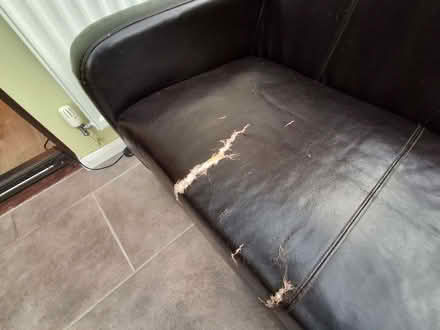 Photo of free Sofa (Whitwick LE67) #4