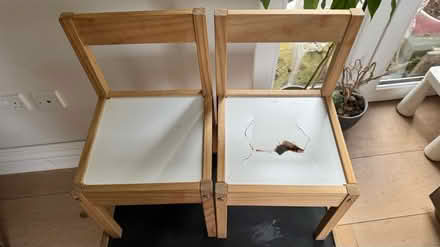 Photo of free IKEA desk and chairs (Kings Hill ME19) #2